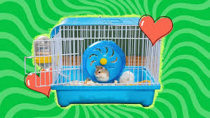 Hamster Cages The 7 Best Habitats For
