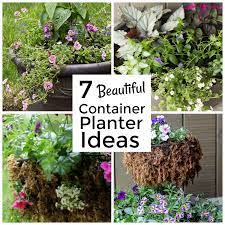 7 Beautiful Container Gardening Ideas