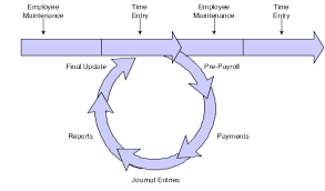 Working With The Payroll Cycle