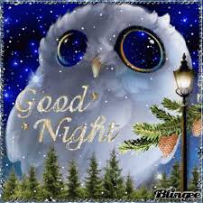 good night owl gif good night owl