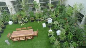 Rooftop Garden Of A High Rise Building