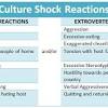 Main Causes of Culture Shock