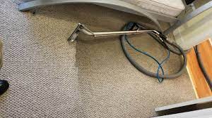 carpet cleaning miami carpet cleaners