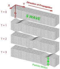 p waves vs s waves definition