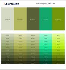 Check spelling or type a new query. 5 Latest Color Schemes With Tana And Olive Green Color Tone Combinations 2021 Icolorpalette