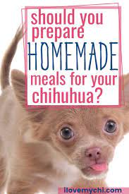 homemade meals for your chihuahua