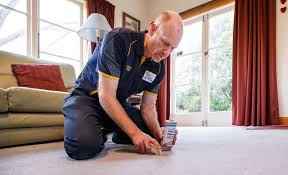 palmerston north carpet cleaning