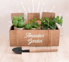 Personalized Mini Herb Garden Kit