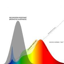 are led lights safe are they harmful