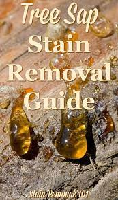 tree sap stain removal guide