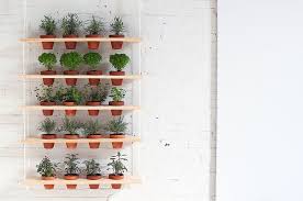 A Diy Hanging Herb Garden That Brings