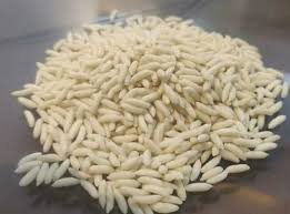 white off white fortified rice kernel