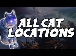 Destiny 2 Forsaken All Cat Locations