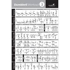 Buy Newme Fitness Dumbbell Exercise Poster Vol Workout