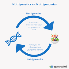 nutrigenetics and nutrigenomics