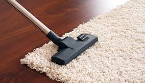 precious carpet cleaning and power