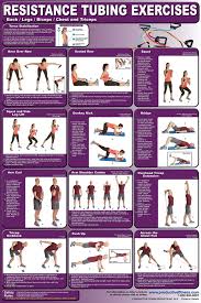 Resistance Tube Exercise Chart Back Legs Biceps Chest