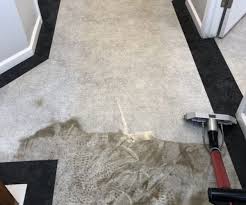 carpet cleaning service servicezoom