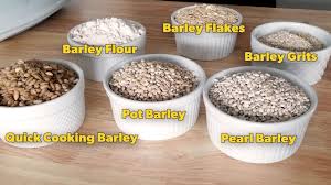 learn about 6 diffe types of barley