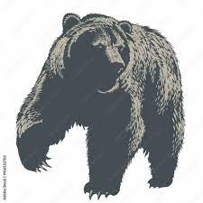 Медведь, иллюстрация, вектор Stock Vector | Adobe Stock
