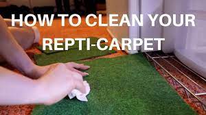 how to clean reptile carpet rug