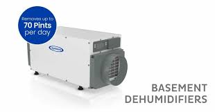 Why You Need A Whole House Dehumidifier