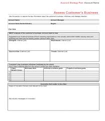 Strategic Account Plan Template Assess Customers Business