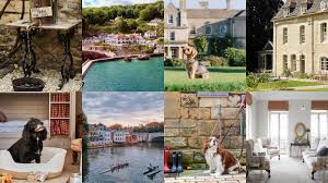 the best dog friendly hotels in the uk