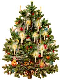 Download Christmas Tree Free Png Transparent Image And Clipart
