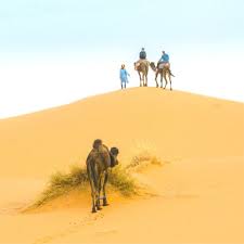 Taking a camel safari will also give you the opportunity to witness the rustic, rural desert life of india. 3 Fascinating Camel Ride Morocco Options You Can T Miss