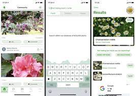 the 7 best plant identification apps of