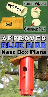 Blue Bird Nest Box Plans Approved Pvc