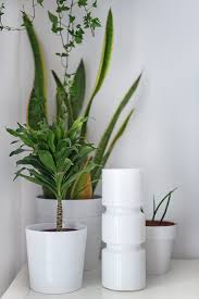 Find the perfect home for your cherished plants from among the variety of large these items come in many different sizes, shapes, and colors. How To Care For Plants In Pots Without Drainage Holes Apartment Therapy