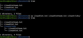 copy multiple files using cp in linux