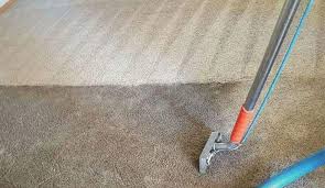 carpet cleaning specialists all
