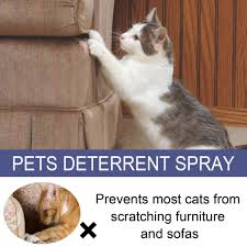 cat spray deter protect furniture