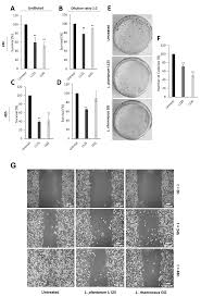 biocines free full text genomic