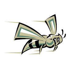 Hornets logo png collections download alot of images for hornets logo download free with high quality for designers. Sacramento State Hornets Logo Png Transparent Brands Logos