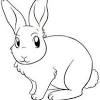 60 gambar sketsa kelinci berdiri untuk diwarnai new. 1