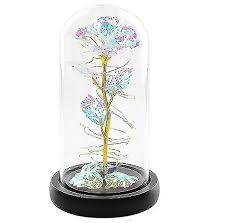 Rose Flower In Glass Dome Women Gifts