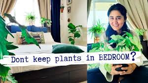 don t keep indoor plants in bedroom
