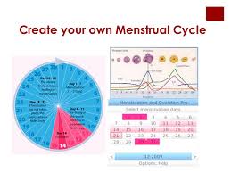 Menstruation 101 A Crash Course On Everything You Need To
