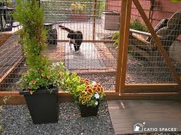 All About Catios Cat Enclosures