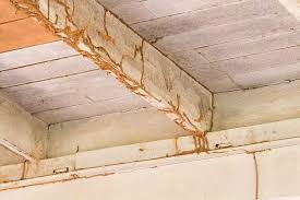 What Does Termite Damage Look Like