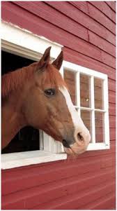 39 free horse barn plans