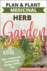 how to plan a cinal herb garden