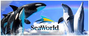 seaworld orlando tickets gift card