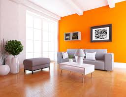 Popular Colour Combinations For Home