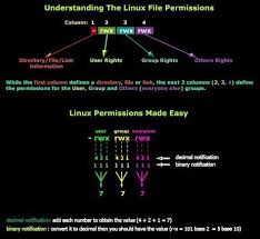 Understanding The Linux File Permissions Linux Pinterest
