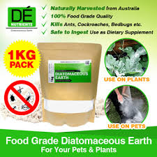 food grade diatomaceous earth